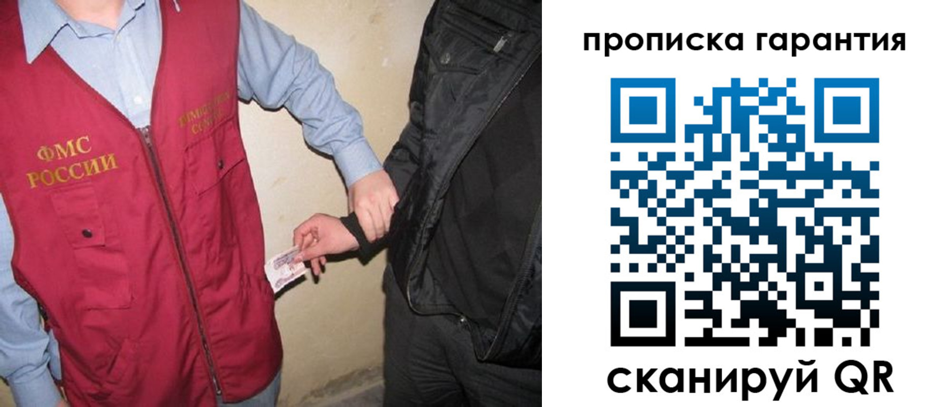 прописка для школы в Светлогорске